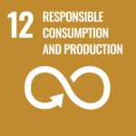 Goal 12. Ensure sustainable consumption and production patterns