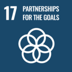 Goal 17. Strengthen the means of implementation and revitalize the global partnership for sustainable development